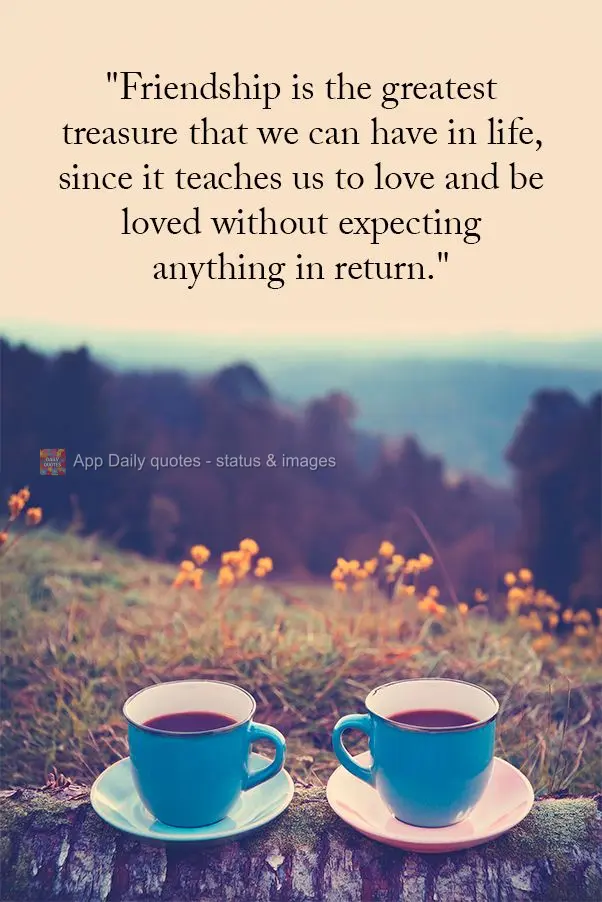 "A amizade é o maior tesouro que podemos conquistar na vida, pois ela nos ensina a amar e a sermos amados sem esperar nada em troca."