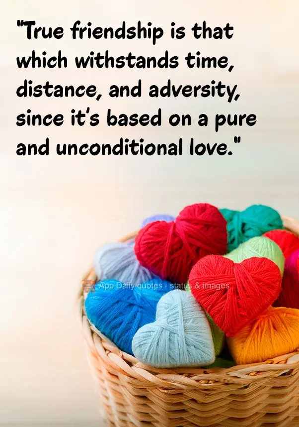 "True friendship is that which withstands time, distance, and adversity, since it's based on a pure and unconditional love."