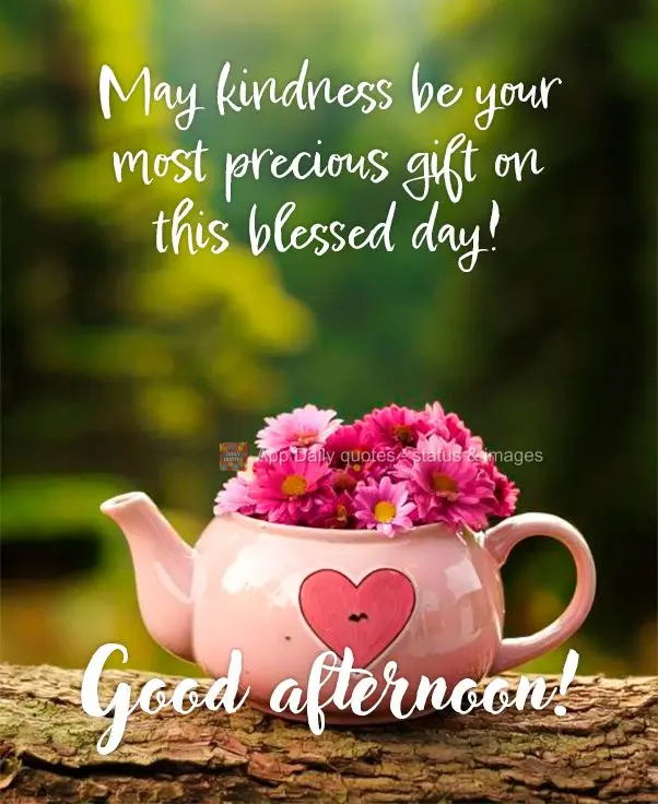Que a gentileza seja seu bem mais precioso neste dia abençoado! Boa tarde!