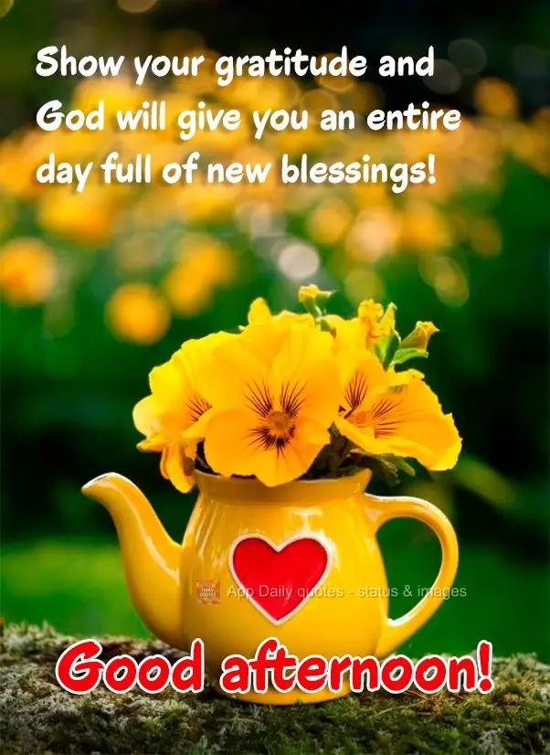 Mostre sua gratidão e Deus lhe dará um dia inteiro cheio de novas bênçãos! Boa tarde!