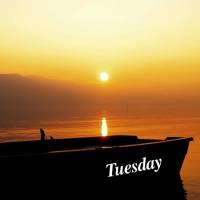 Que as bênçãos do dia venham em abundância e transforme cada momento em uma memória feliz! Terça-feira