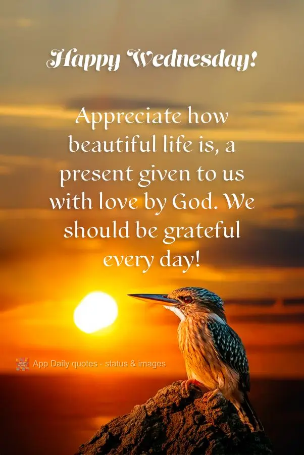 Appreciate how beautiful life is, a present given to us with love by God. We should be grateful every day! Happy Wednesday!