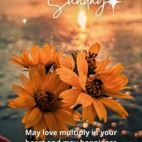 Que se multiplique o amor em seu coração e que a felicidade um constante sentimento adquirido todos os dias! Feliz Domingo!