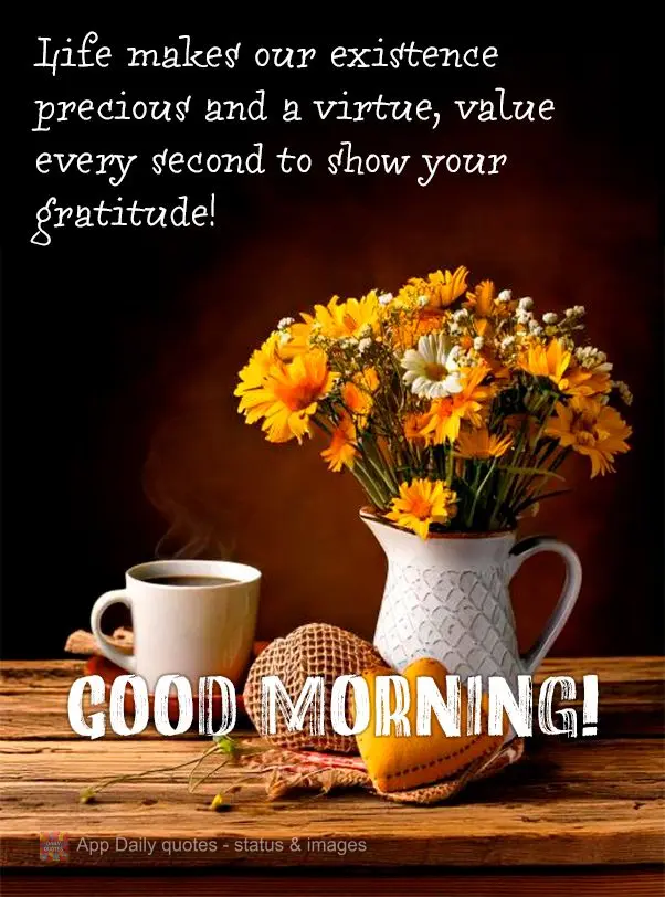 A vida faz da nossa existência uma preciosidade e uma virtude, valorize cada segundo para mostrar sua gratidão! Bom dia!