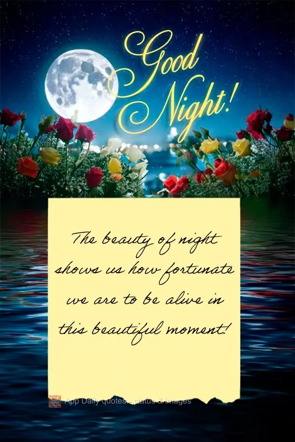 The beauty of night shows us how fortunate we are to be alive in this beautiful moment! Good night!