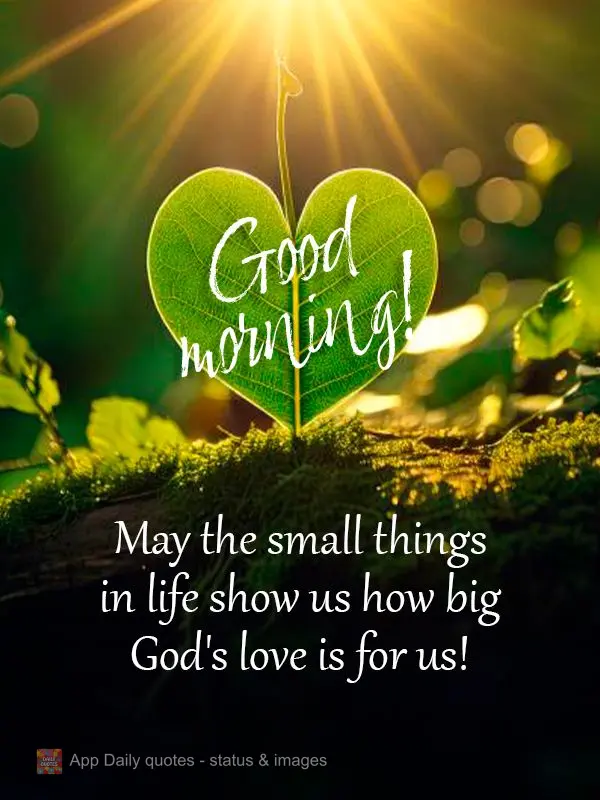 Que as pequenas coisas da vida nos mostre o quão grande é o amor de Deus por nós!  Bom dia!