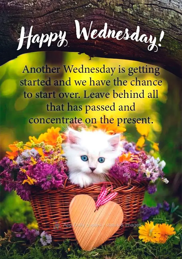 Mais uma Quarta se inicia e temos a chance de recomeçar. Deixemos para trás tudo o que já passou e nos concentremos no presente. Feliz Quarta-feira!...