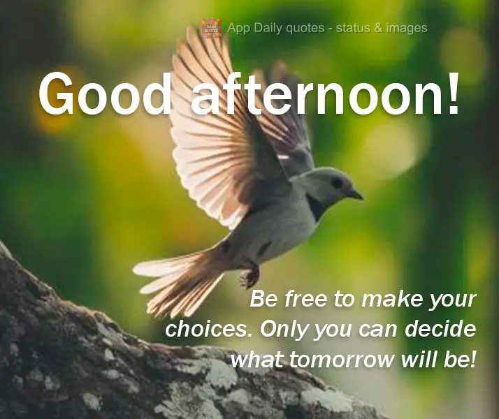 Be free to make your choices. Only you can decide what tomorrow will be! Good afternoon!