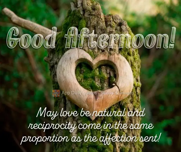 Que o amor seja natural e a reciprocidade venha na mesma proporção do carinho enviado! Boa tarde!