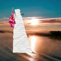 Deixa Deus cuidar das suas dores, mantenha seu coração sempre motivado, não perca a sua fé, lute pelo seus sonhos e não esqueça de agradecer todos ...