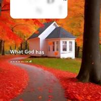 O que Deus tem reservado pra você não é pouco, mas sim tudo aquilo que você merece e estará te aguardando, porque quem planta o bem, colhe paz etern...