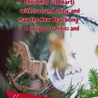 Que a magia do Natal encha os corações de amor e união, e que o Ano Novo traga novas oportunidades e muitas alegrias. Desejo a todos um fim de ano mar...