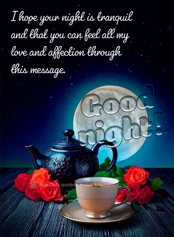Espero que a sua noite seja tranquila e que você possa sentir todo o meu amor e carinho através desta mensagem. Boa noite!