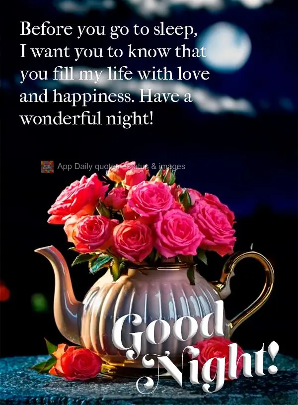 Antes de dormir, quero que saiba que você preenche a minha vida de amor e felicidade. Tenha uma noite maravilhosa! Boa noite! 