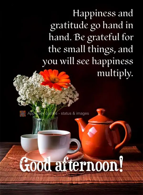 A felicidade e a gratidão andam de mãos dadas. Seja grato pelas pequenas coisas e veja como a felicidade se multiplica. Boa tarde!