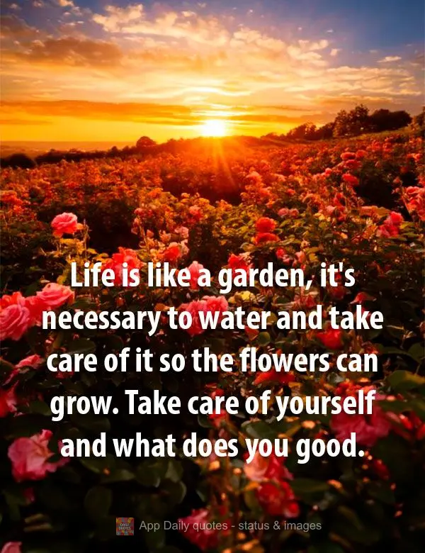 A vida é como um jardim, é preciso regar e cuidar para que as flores possam florescer. Cuide de si mesmo e do que te faz bem.