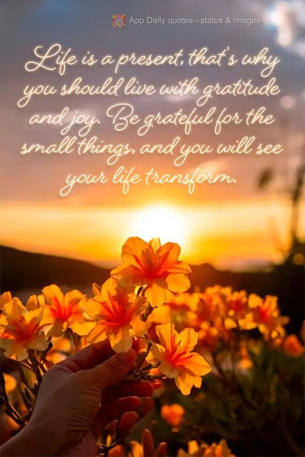 A vida é um presente, por isso, viva com gratidão e alegria. Seja grato pelas pequenas coisas e verá como sua vida se transformará.