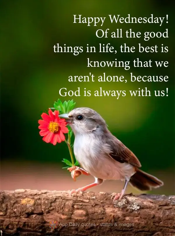 Happy Wednesday! Of all the good things in life, the best is knowing that we aren't alone, because God is always with us!