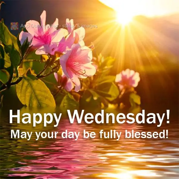 May your day be fully blessed! Happy Wednesday!