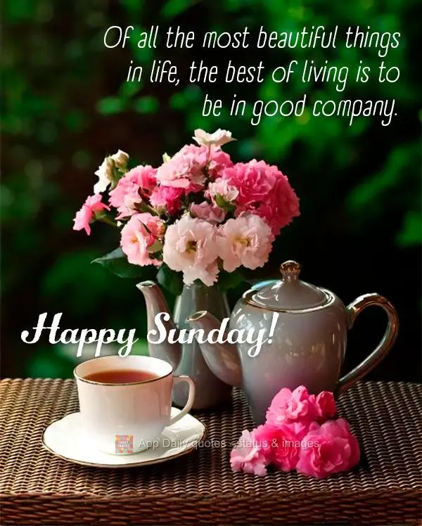 De todas as coisas mais bonitas da vida, a melhor de se viver é estar em boa companhia.  Feliz Domingo!