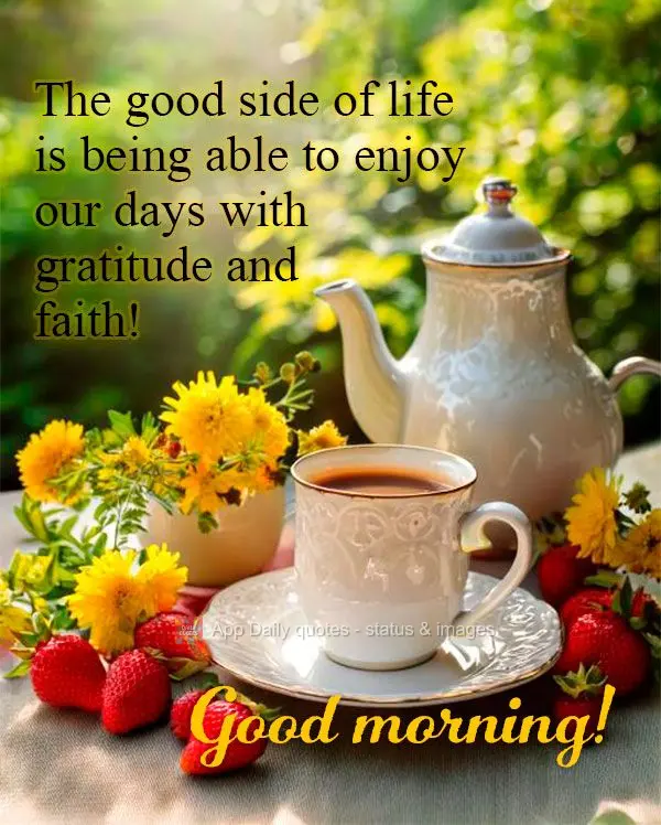 O lado bom da vida é poder desfrutar dos dias com gratidão e fé! Bom dia!