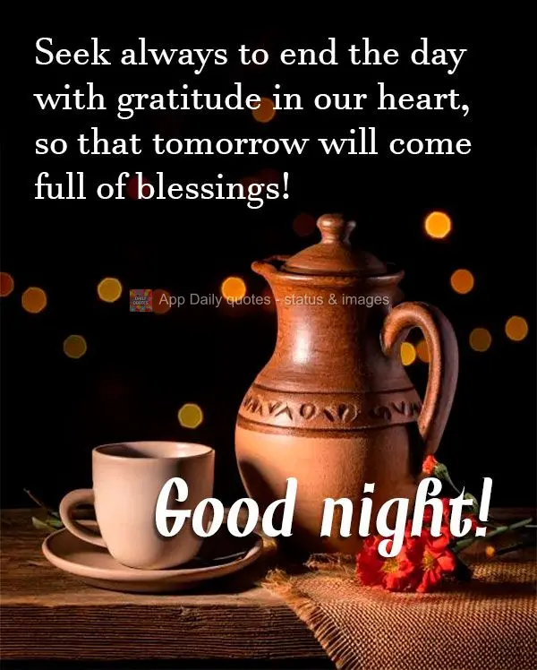 Busque sempre terminar o dia com gratidão no coração, para que o dia de amanhã venha cheio de bênçãos!  Boa noite!