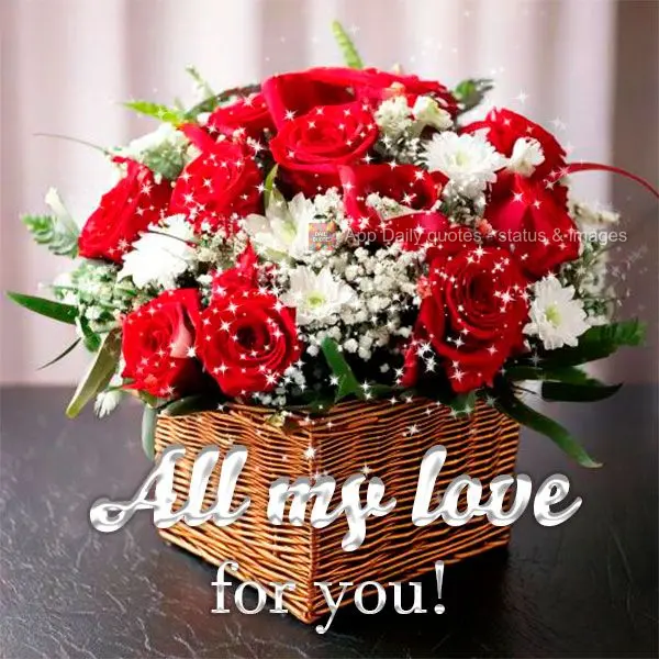 Um Carinho para você!