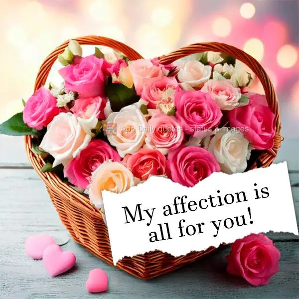 Este Carinho é para você!