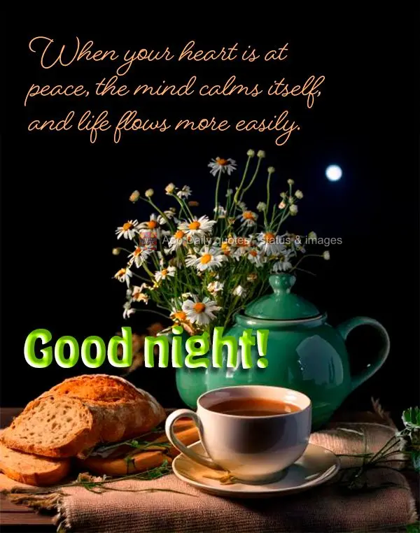 Quando o coração está em paz, a mente se acalma e a vida flui com mais leveza. Boa noite!