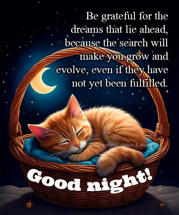 Seja grato pelos sonhos que ainda estão por vir, pois o a busca lhe fará crescer e evoluir, mesmo que ainda não tenham se realizado. Boa noite!