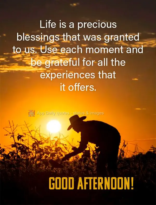 A vida é uma bênção preciosa que nos foi concedida. Aproveite cada momento e seja grato por todas as experiências que ela oferece. Boa tarde!