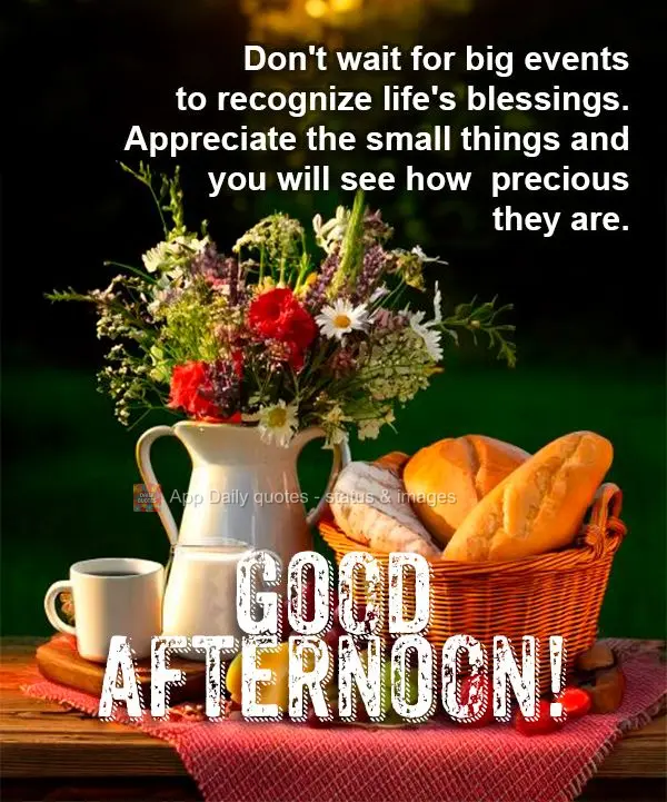 Não espere por grandes acontecimentos para reconhecer as bênçãos da vida. Aprecie as pequenas coisas e verá como elas são preciosas. Boa tarde!