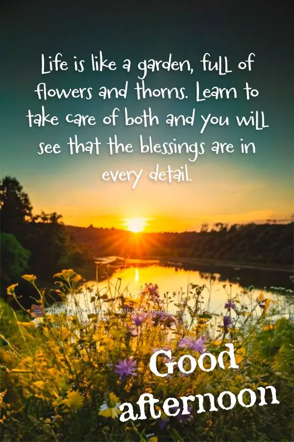 A vida é como um jardim, cheia de flores e espinhos. Aprenda a cuidar de ambos e você verá que as bênçãos estão em cada detalhe. Boa tarde!