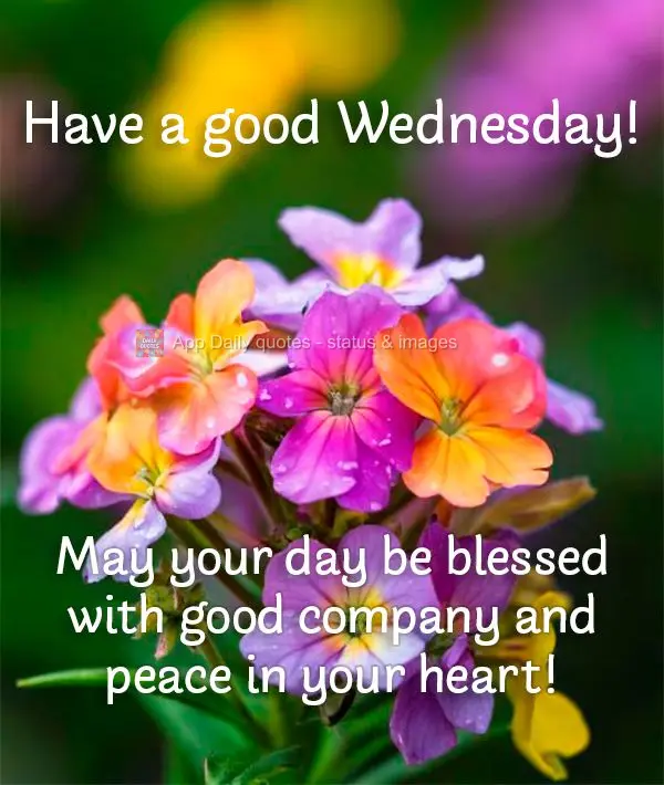 May your day be blessed with good company and peace in your heart! Have a good Wednesday!