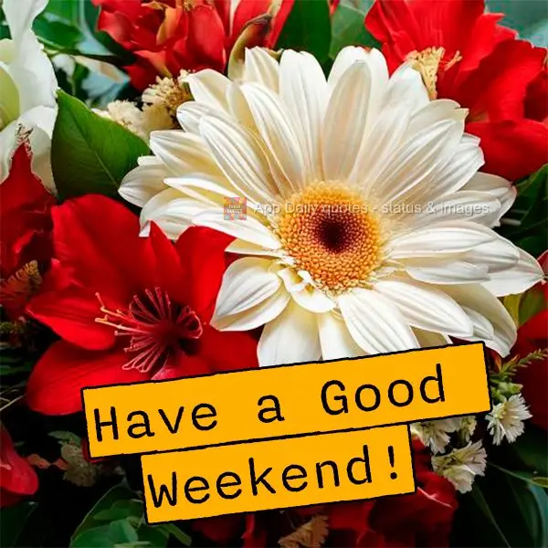 Have a Good Weekend!