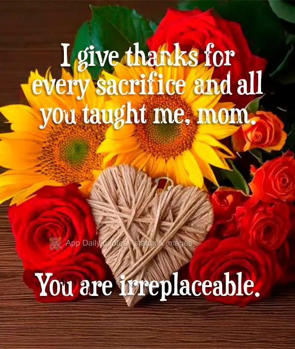 I give thanks for every sacrifice and all you taught me, mom. You are irreplaceable.