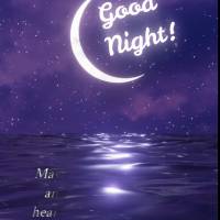 Que a noite traga paz e tranquilidade para o seu coração e que ao acordar, você se sinta revigorado e abençoado pela vida.  Boa noite!