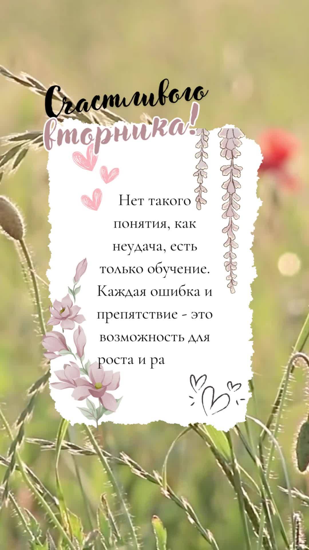 Não existe fracasso, apenas aprendizado. Cada erro e obstáculo são oportunidades de crescimento e evolução. Boa terça!