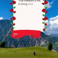 A verdadeira liberdade não é fazer o que se quer, mas sim querer o que se faz. É encontrar satisfação e significado nas pequenas coisas do dia a dia...