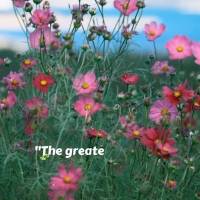 "A maior sabedoria é a humildade, pois ela nos permite aprender com todos e com tudo." Boa tarde! Mahatma Gandhi