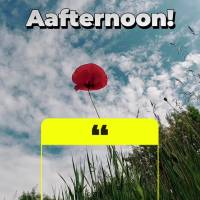 "Não somos seres humanos em busca de uma experiência espiritual, somos seres espirituais em busca de uma experiência humana." Boa tarde! Pierre Teilha...