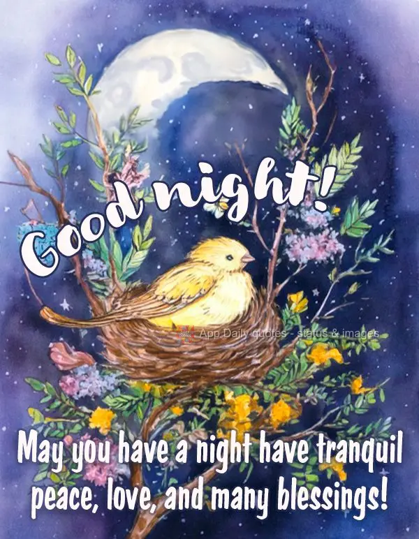 May you have a night have tranquil peace, love, and many blessings! Good night!