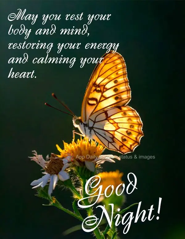 Que você possa descansar o corpo e a mente, renovando suas energias e acalmando seu coração. Boa noite!