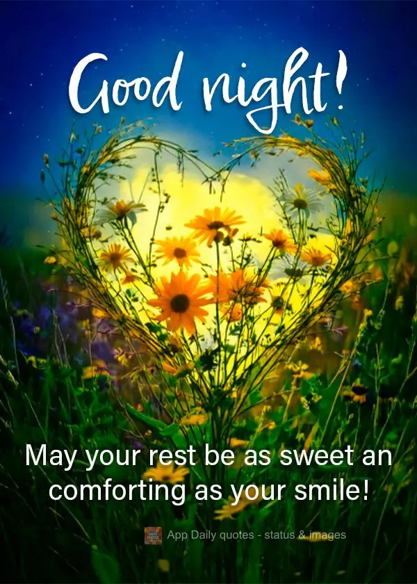 Que seu descanso seja tão doce e reconfortante quanto o seu sorriso! Boa noite!