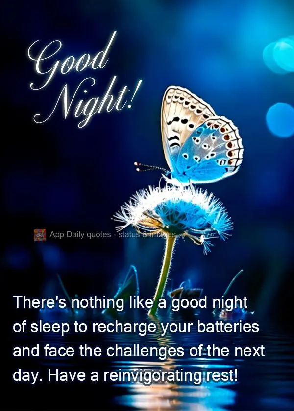 There's nothing like a good night of sleep to recharge your batteries and face the challenges of the next day. Have a reinvigorating rest! Good night!