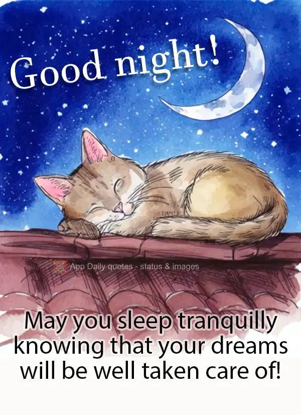 May you sleep tranquilly knowing that your dreams will be well taken care of! Good night!