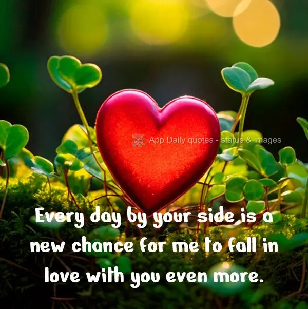Cada dia ao seu lado é uma nova chance de me apaixonar ainda mais.