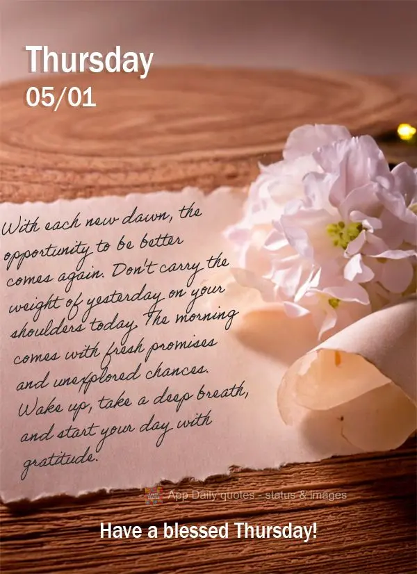 A cada novo amanhecer, renova-se a oportunidade de sermos melhores. Não carregue o peso de ontem nos ombros de hoje. A manhã chega com promessas fresca...