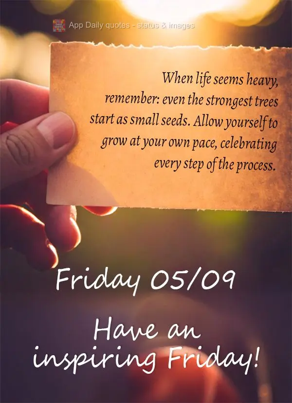 Quando a vida parece pesada, lembre-se: até as árvores mais fortes começaram como pequenas sementes. Permita-se crescer no seu próprio ritmo, celebra...