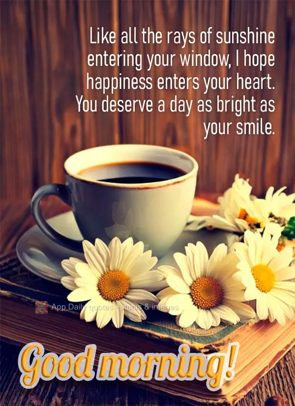 Com cada raio de sol que toca sua janela, desejo que a felicidade toque seu coração. Você merece um dia tão brilhante quanto seu sorriso. Bom dia!